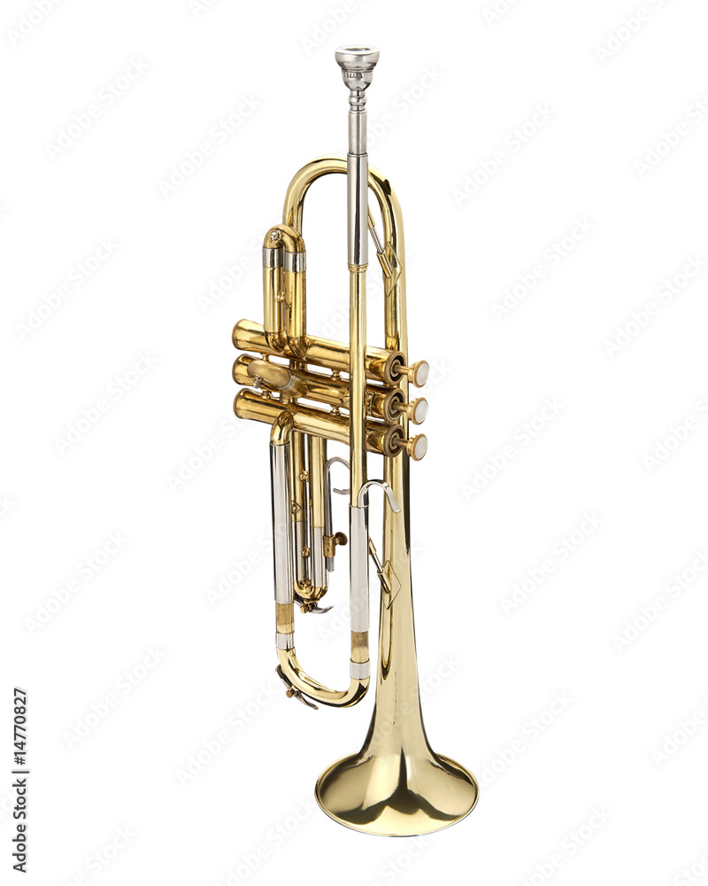 Obraz premium Trompeta