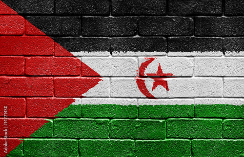 Flag of Western Sahara on brick wall