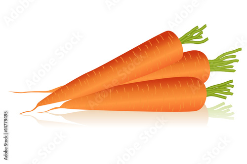 Illustration of carrots