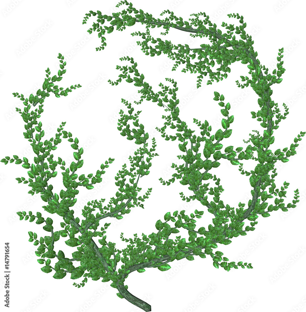 custom made wallpaper toronto digitalGreen Vine With Green Bark