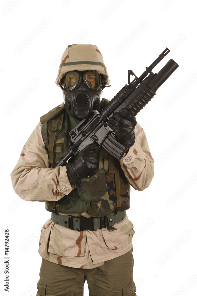 Gulf War Soldier Gulf War Soldier