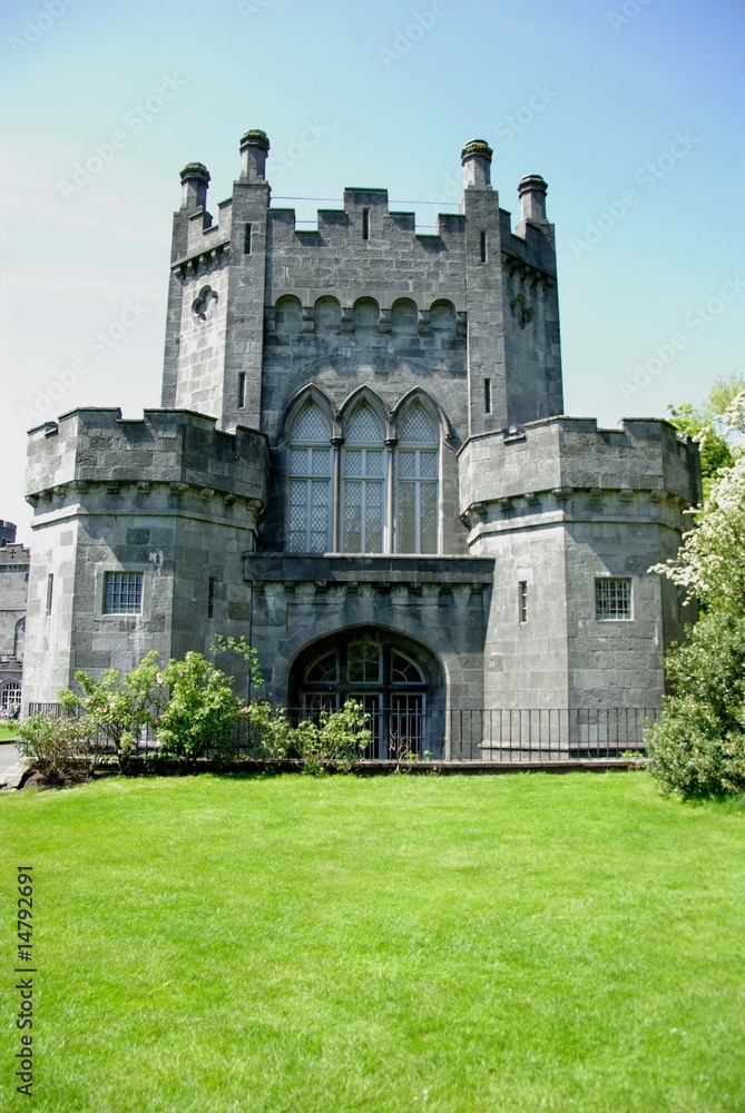 Fototapeta premium Chateau - Irlande