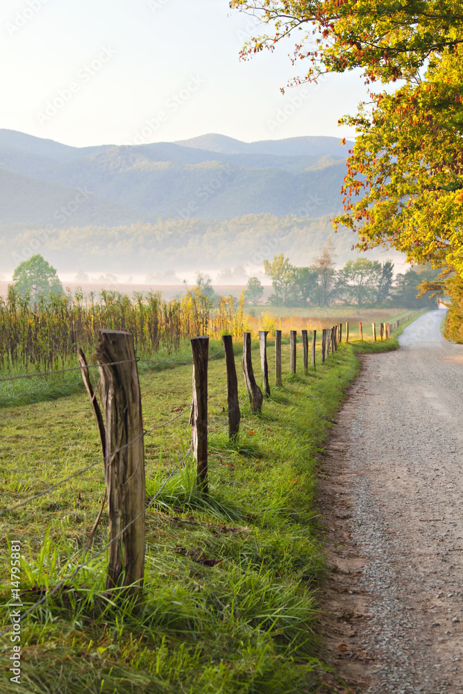 Morning Light on Road in Great Smoky Mountains