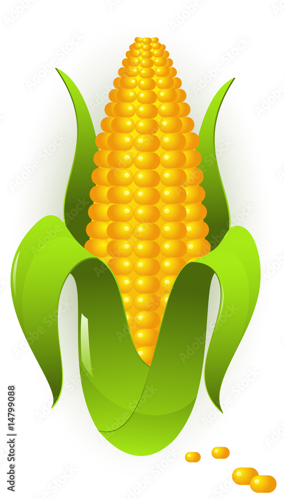 Obraz premium Corn
