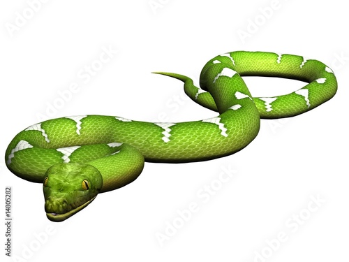 Crawling green python