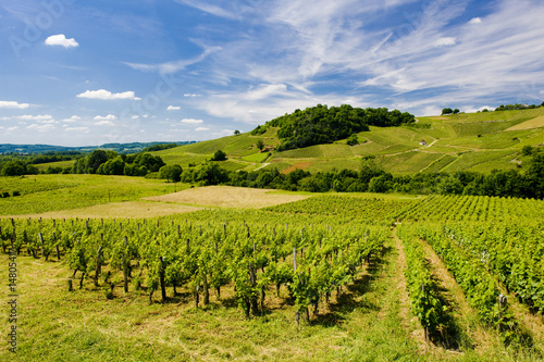 Fotografie vineyards, Chateau Chalon, Jura, Franche-Comté, France