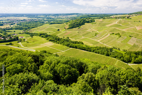 vineyards, Chateau Chalon, Jura, Franche-Comté, France