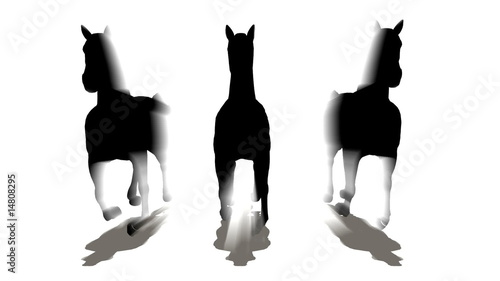 three horses photo