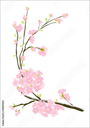 Dekoratives Kirschblüten Ornament