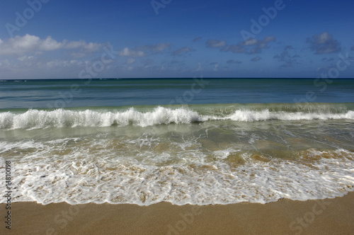 Fototapeta France, plage à la Martinique