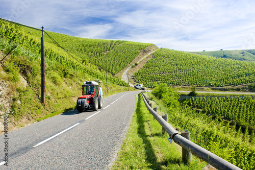 grand cru vineyard, Côte Rotie, Rhône-Alpes, France