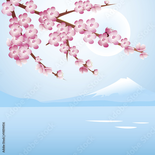 Cherry blossom blue sky