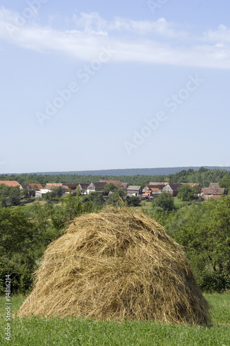 Rural scene