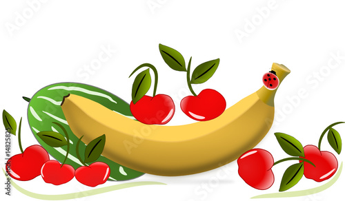 obst illustration