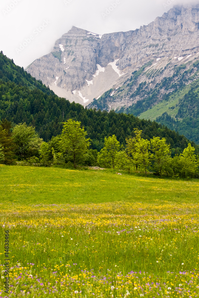 Fototapeta premium Vercors