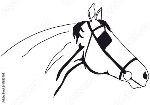 Horse muzzle
