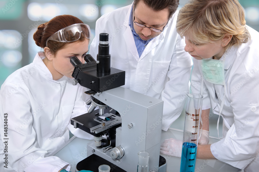 scientists working at the laboratory scientists working at the laboratory