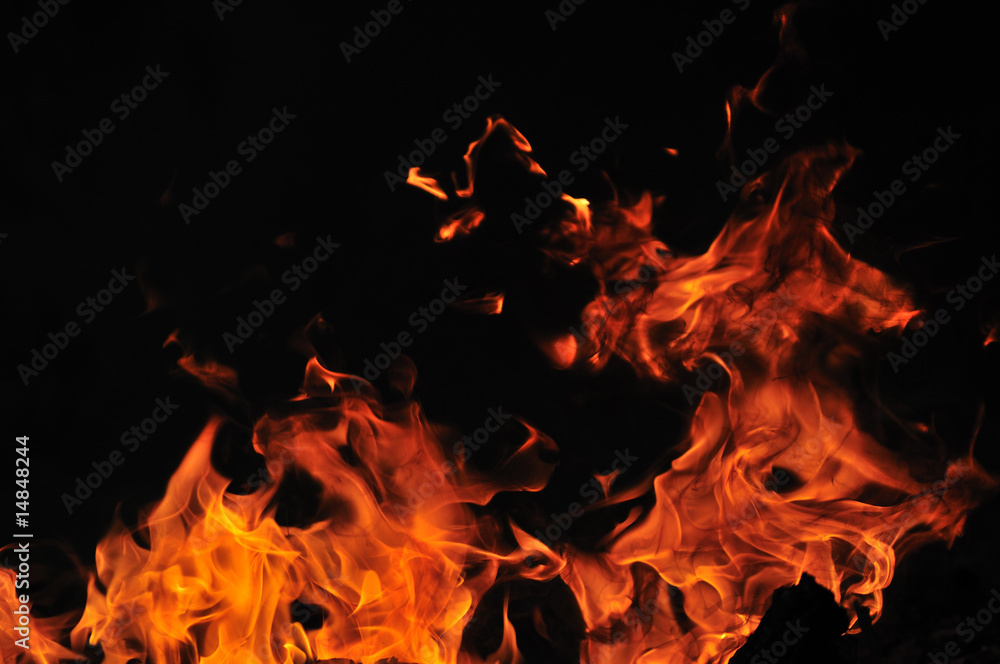 wild fire wild fire