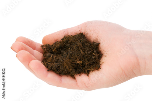 Hand holding handful of soil isolated on white