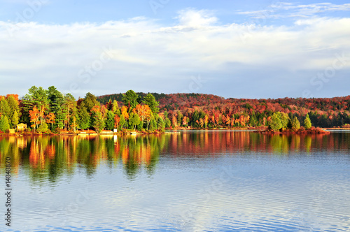 Wall Mural Fall forest reflections