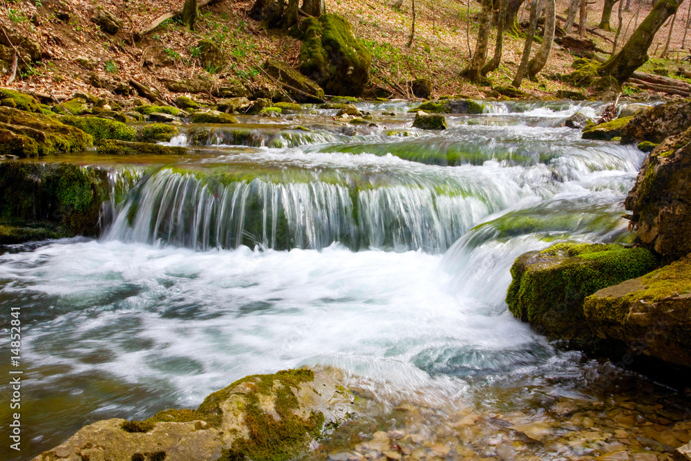 Obraz premium River in spring season