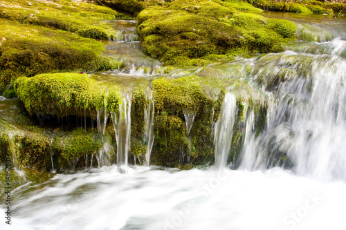 River in spring season