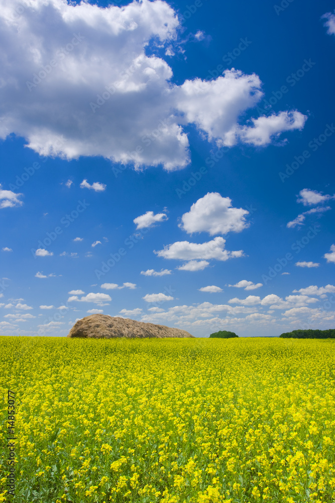 Obraz premium picturesque rural landscape