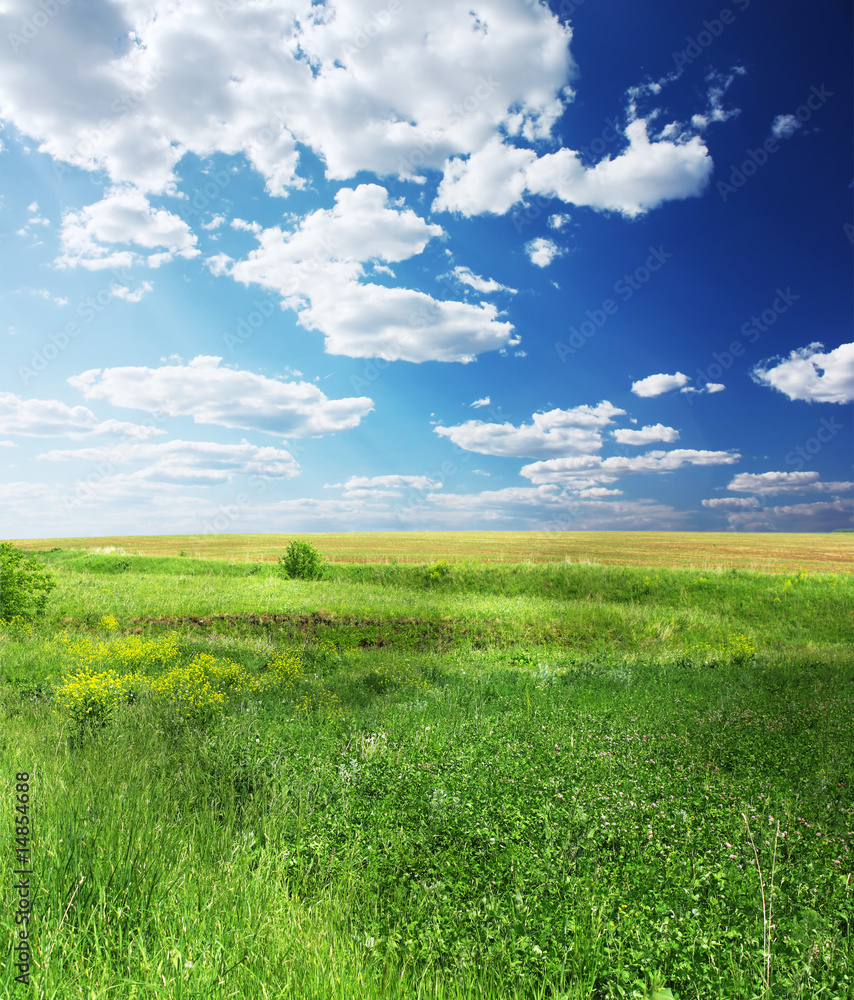 Obraz premium Green meadow and blue sky with clouds