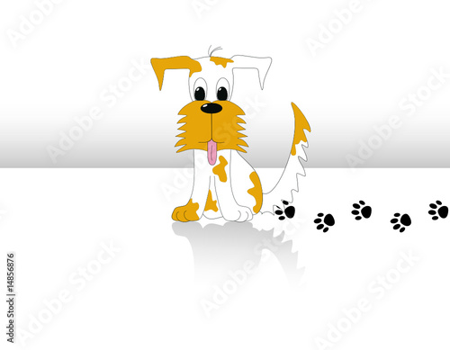 Mix white and brown dog and his trails