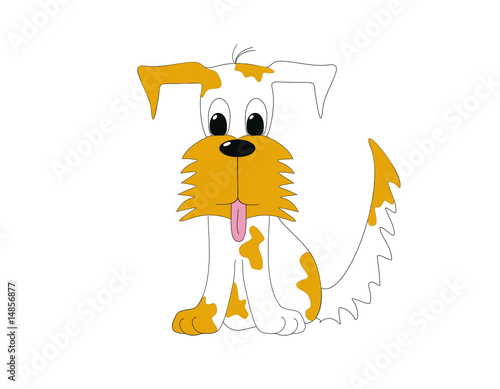 Mix white and brown dog