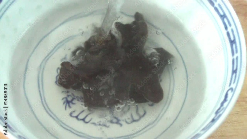 Mu-Err Pilze Mu-Err Pilze
