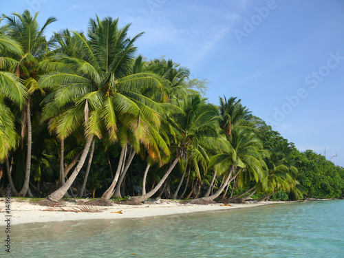 Beach no. 5, Havelock Island, Andaman Islands, India