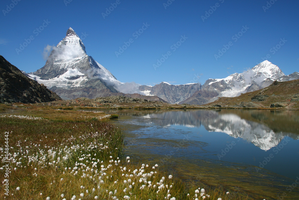 Matterhorn flowers