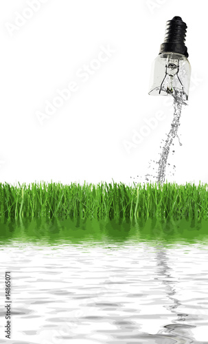 lampafina acqua erba