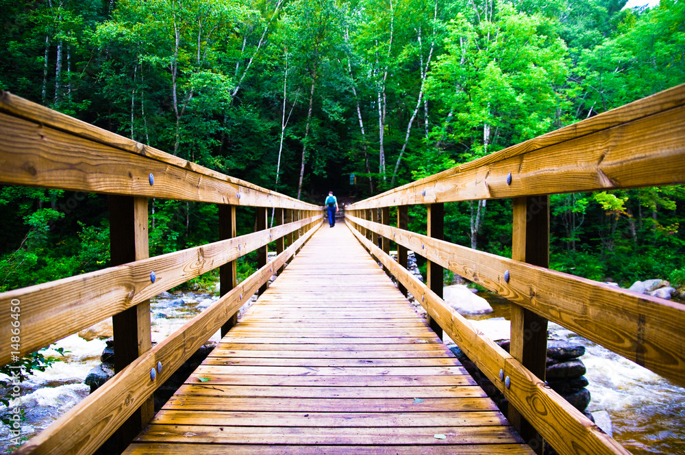 Obraz premium Scary Wooden Bridge Crossing