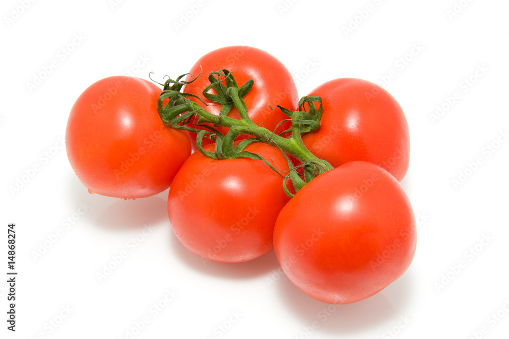 Spray tomatoes isolated on white background Spray tomatoes isolated on white background
