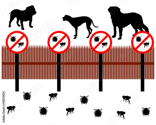 Hunde hinter Zaun zum Schucken gegen Zecken und Flöhe