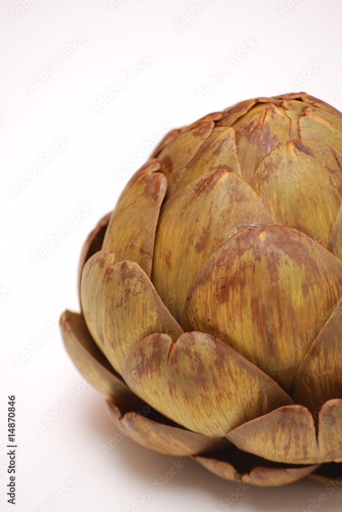 Obraz premium artichaut