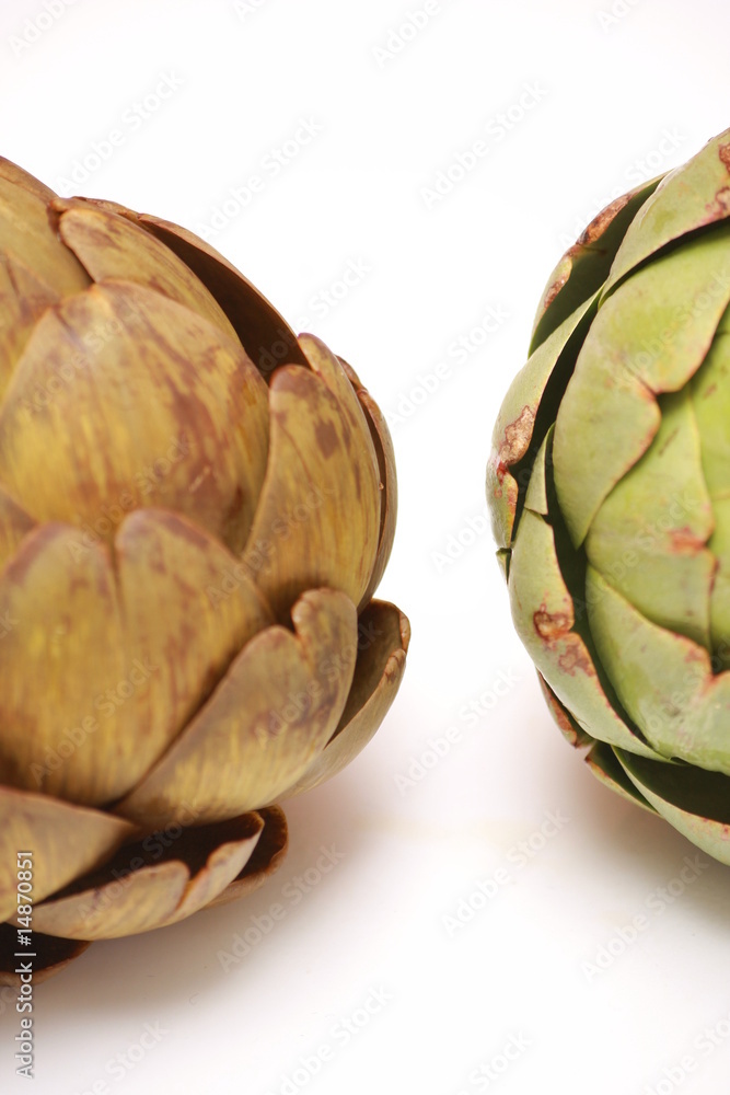 Fototapeta premium artichaut