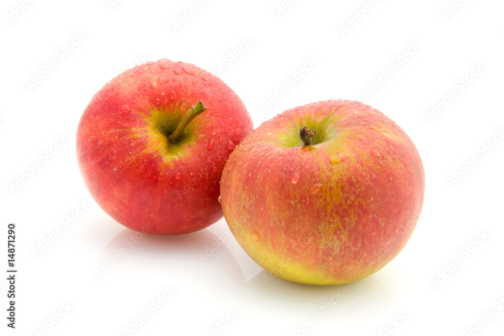 Two juicy apples isolated on white background Two juicy apples isolated on white background
