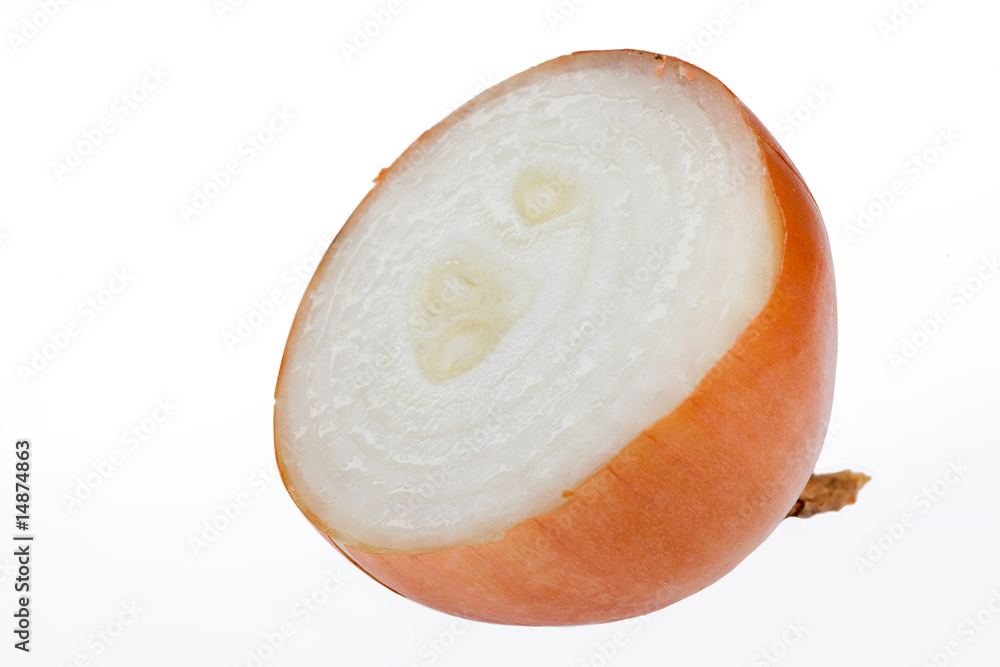 Onion Onion