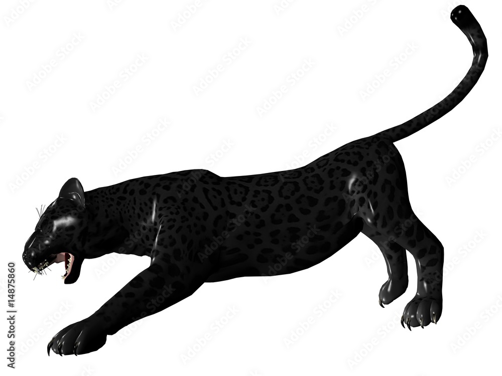 Agressive black panther