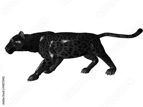 Stalking black panther