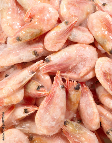 frozen shrimp on the stack for food backgrounds