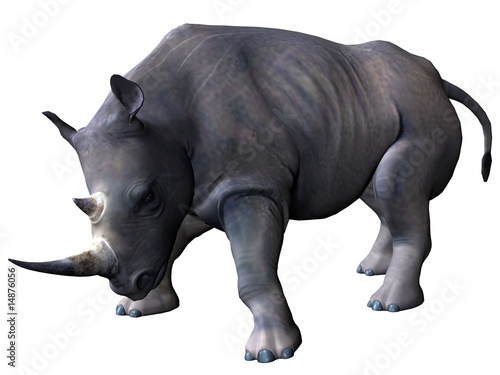 Charging rhinoceros
