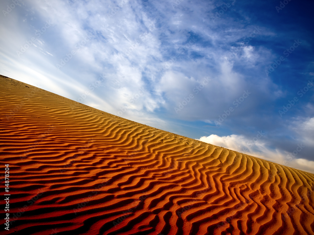 Naklejka premium sahara