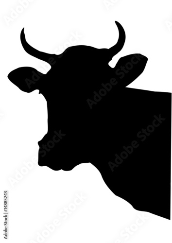 cow head