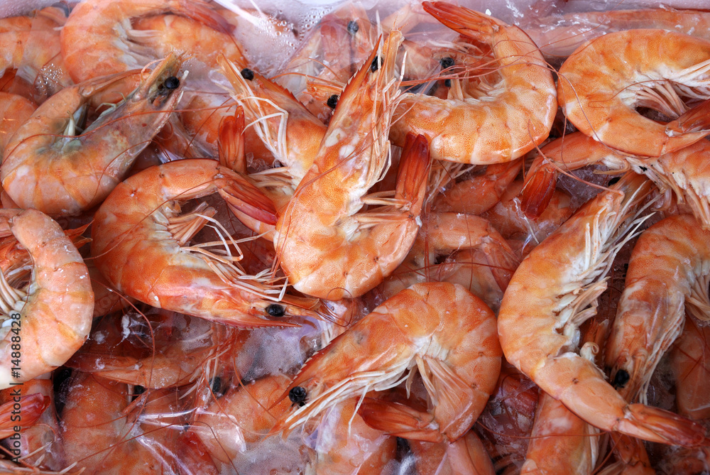 fresh cooked prawns fresh cooked prawns