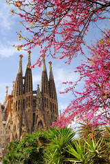 Wandcirkels Barcelona Sagrada Familia in zonnig Barcelona  © dzain