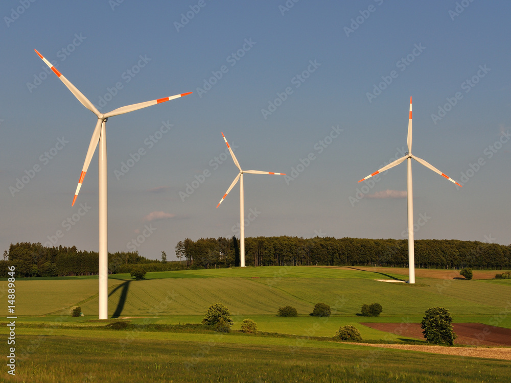 Fototapeta premium Windräder